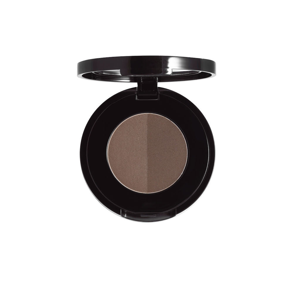 Anastasia Brow Powder Duo